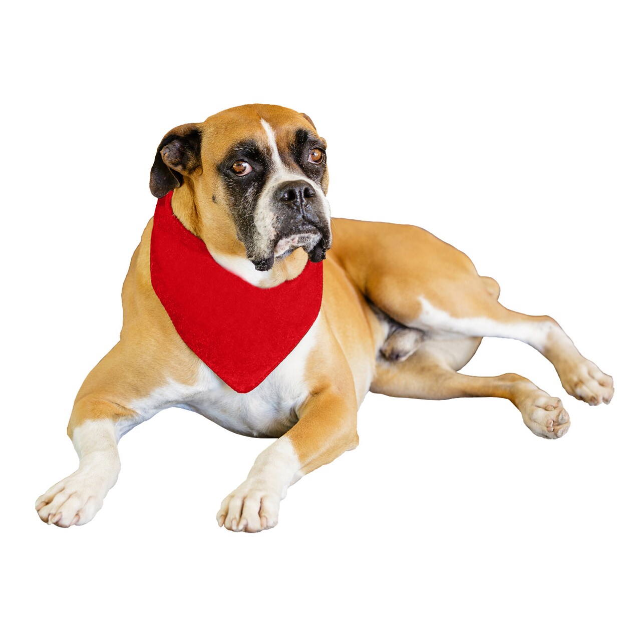 9 Pack Solid Polyester Dog Neckerchief Triangle Bibs - Extra Large